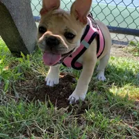 processed/da27efd5-9946-4232-8ce2-215a6a34d223/facility/f87e65ae-2cc2-477f-9239-0108ed039cae