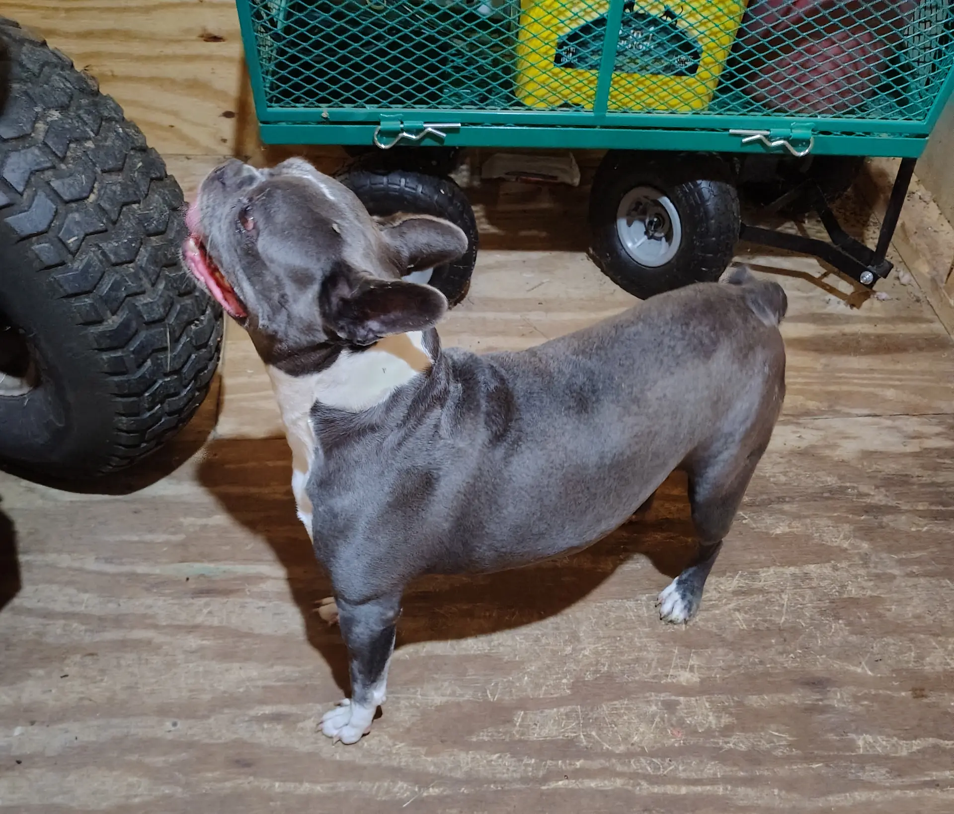 processed/da27efd5-9946-4232-8ce2-215a6a34d223/listing/42ccec8c-0103-4f02-b7b2-1b6b2a537f4b/4d0a430d-cddc-43f0-9ae8-35235c01462d