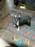 processed/da27efd5-9946-4232-8ce2-215a6a34d223/listing/42ccec8c-0103-4f02-b7b2-1b6b2a537f4b/54cdd968-2368-464d-9388-28a8f13b8ee4