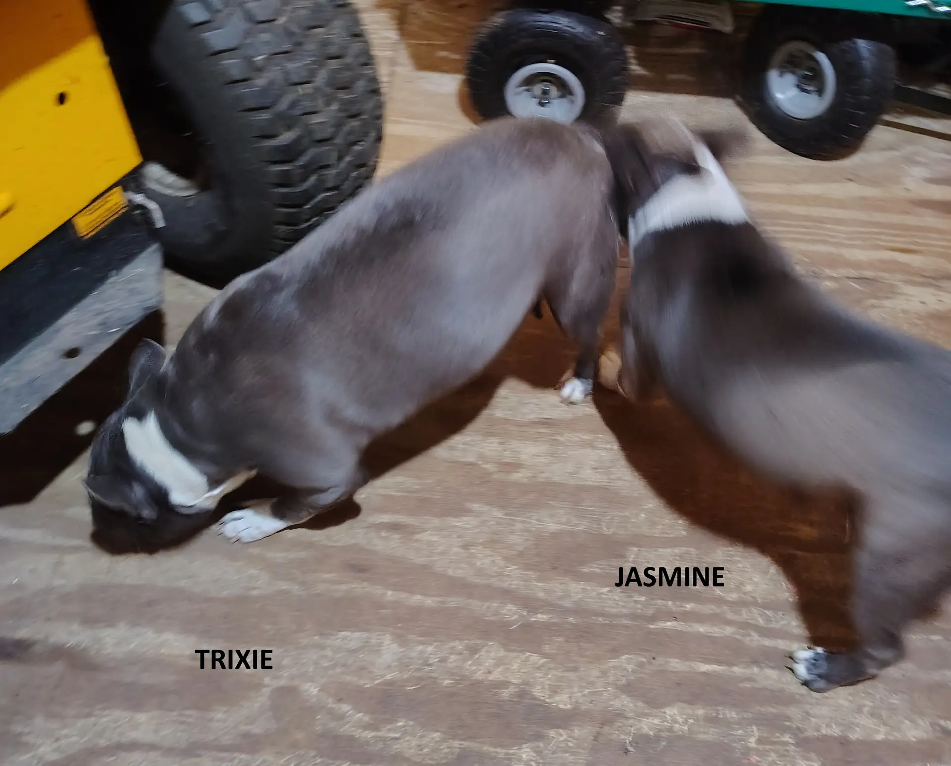 processed/da27efd5-9946-4232-8ce2-215a6a34d223/listing/42ccec8c-0103-4f02-b7b2-1b6b2a537f4b/d35c81cf-3b48-40b0-b9db-9a54fab9bd92