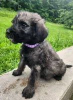 processed/da27efd5-9946-4232-8ce2-215a6a34d223/listing/c0deda8c-c478-497d-b95e-4d13e910b78e/09fdfe4b-e35f-434c-993d-e3ffe6bc7afc