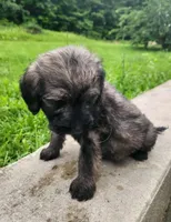 processed/da27efd5-9946-4232-8ce2-215a6a34d223/listing/c0deda8c-c478-497d-b95e-4d13e910b78e/1b2e9709-b3b6-48e7-b85b-35400066d70e