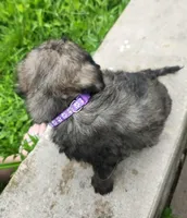 processed/da27efd5-9946-4232-8ce2-215a6a34d223/listing/c0deda8c-c478-497d-b95e-4d13e910b78e/1db9eced-6229-42c2-bcd7-647210d37027