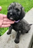 processed/da27efd5-9946-4232-8ce2-215a6a34d223/listing/c0deda8c-c478-497d-b95e-4d13e910b78e/8a4a97c3-3360-4d4b-9e43-abff3dc565b0