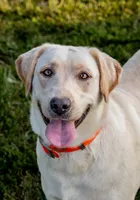 processed/da295621-3047-4076-8680-dd8f0d8445aa/facility/0971297e-a4ea-49c0-b6a8-d98037803f74