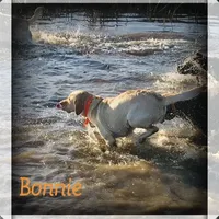 processed/da295621-3047-4076-8680-dd8f0d8445aa/facility/217dd8fb-202b-477f-a03c-60f252ba2471