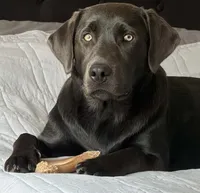 Facility photo