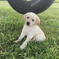 processed/da295621-3047-4076-8680-dd8f0d8445aa/facility/5f3a3ebc-c451-428e-96fb-fd69c2dd73ce