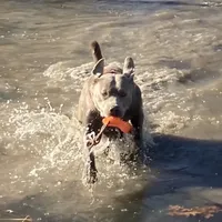 processed/da295621-3047-4076-8680-dd8f0d8445aa/facility/7375a678-7a91-49f9-9f1c-260d4e96bbae