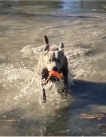 processed/da295621-3047-4076-8680-dd8f0d8445aa/facility/7375a678-7a91-49f9-9f1c-260d4e96bbae