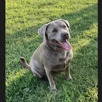 processed/da295621-3047-4076-8680-dd8f0d8445aa/facility/d1655bc9-d446-40e4-bc86-539644cd724f