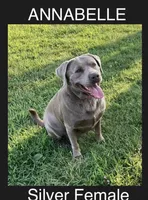 processed/da295621-3047-4076-8680-dd8f0d8445aa/facility/d1655bc9-d446-40e4-bc86-539644cd724f