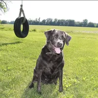 processed/da295621-3047-4076-8680-dd8f0d8445aa/facility/f67a8b90-d4ee-44b6-b649-be7dc24816ae