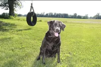 processed/da295621-3047-4076-8680-dd8f0d8445aa/facility/f67a8b90-d4ee-44b6-b649-be7dc24816ae