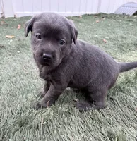 processed/da295621-3047-4076-8680-dd8f0d8445aa/listing/42af8774-6bf7-4f87-9da8-0c5c22b2c080/1fcf7255-db24-4e5e-bc9a-107a316d9ba8