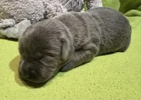 processed/da295621-3047-4076-8680-dd8f0d8445aa/listing/42af8774-6bf7-4f87-9da8-0c5c22b2c080/3d93c858-8f63-46bb-b2df-f727a24fe7bc