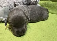 processed/da295621-3047-4076-8680-dd8f0d8445aa/listing/42af8774-6bf7-4f87-9da8-0c5c22b2c080/67b84c37-7192-43f5-9667-1617adb2fe48