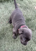 processed/da295621-3047-4076-8680-dd8f0d8445aa/listing/42af8774-6bf7-4f87-9da8-0c5c22b2c080/93842889-39ab-43d1-baac-ecd114613634