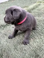 processed/da295621-3047-4076-8680-dd8f0d8445aa/listing/42af8774-6bf7-4f87-9da8-0c5c22b2c080/b544509d-b586-42e0-a08a-dbac6a7eb328