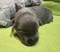 processed/da295621-3047-4076-8680-dd8f0d8445aa/listing/42af8774-6bf7-4f87-9da8-0c5c22b2c080/c3319c5f-8d2f-4896-ae14-93b023345077