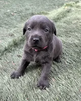 processed/da295621-3047-4076-8680-dd8f0d8445aa/listing/42af8774-6bf7-4f87-9da8-0c5c22b2c080/d76e4545-05c4-4828-952b-ee6e8c540bf5