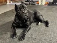 Facility photo