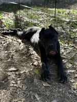 processed/da2c2b7c-1fb4-48c1-b433-0e07ce9c3fa0/listing/966cf862-74b5-49c4-9779-0245d7f3eb78/17b909d1-14ee-466e-8982-d3c4089ccccf