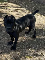 processed/da2c2b7c-1fb4-48c1-b433-0e07ce9c3fa0/listing/966cf862-74b5-49c4-9779-0245d7f3eb78/32f3d365-81ad-4958-a655-5a3c2c4e4ea4