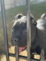 processed/da2c2b7c-1fb4-48c1-b433-0e07ce9c3fa0/listing/966cf862-74b5-49c4-9779-0245d7f3eb78/480682f3-4803-4a51-bf18-220254bf0ceb