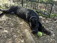 processed/da2c2b7c-1fb4-48c1-b433-0e07ce9c3fa0/listing/966cf862-74b5-49c4-9779-0245d7f3eb78/4ab32865-9c25-4d0a-ac83-08a72b5c30ee