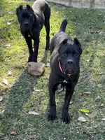 processed/da2c2b7c-1fb4-48c1-b433-0e07ce9c3fa0/listing/d996a9eb-adfd-4e86-bf49-0fd13bb72a99/09160beb-b604-4931-8dc4-54a3167b7b71