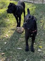 processed/da2c2b7c-1fb4-48c1-b433-0e07ce9c3fa0/listing/d996a9eb-adfd-4e86-bf49-0fd13bb72a99/3055fc6d-9452-4a3b-ab2a-2b3be122e75f