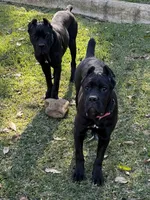 processed/da2c2b7c-1fb4-48c1-b433-0e07ce9c3fa0/listing/d996a9eb-adfd-4e86-bf49-0fd13bb72a99/93c8c372-90b9-43f8-b7b3-bd048959c855