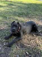 processed/da2c2b7c-1fb4-48c1-b433-0e07ce9c3fa0/listing/d996a9eb-adfd-4e86-bf49-0fd13bb72a99/9c917cc8-ed93-4a57-aa28-985b07077069