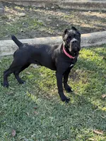 processed/da2c2b7c-1fb4-48c1-b433-0e07ce9c3fa0/listing/d996a9eb-adfd-4e86-bf49-0fd13bb72a99/ab717a0e-1c01-49c6-9a88-82508eac511a