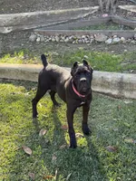 processed/da2c2b7c-1fb4-48c1-b433-0e07ce9c3fa0/listing/d996a9eb-adfd-4e86-bf49-0fd13bb72a99/ec6dc398-7dd5-4dce-93f3-2f8c8aae4917