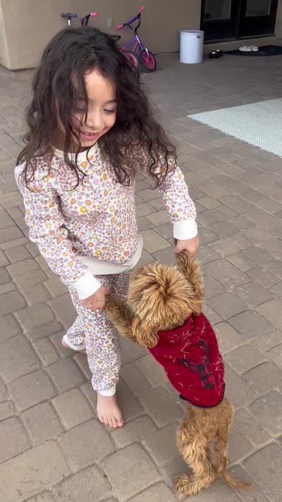 Jax - F1BB Micro / Toy Goldendoodle , a male Miniature Goldendoodle for sale in Waddell, AZ – 9 of 10