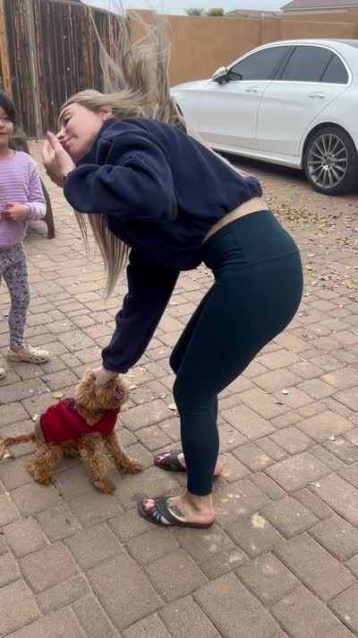 Jax - F1BB Micro / Toy Goldendoodle , a male Miniature Goldendoodle for sale in Waddell, AZ – 10 of 10