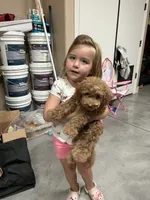 Jax - F1BB Micro / Toy Goldendoodle , a male Miniature Goldendoodle for sale in Waddell, AZ – 5 of 10