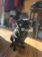 processed/da43ab20-15af-4d6f-a50a-23f84bd4d0c7/facility/09fffb05-0e12-461b-9cc6-a3527770fb36