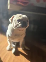 processed/da43ab20-15af-4d6f-a50a-23f84bd4d0c7/facility/2aaa7329-d2ee-4c29-8881-1f85364208f4