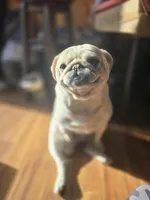 processed/da43ab20-15af-4d6f-a50a-23f84bd4d0c7/facility/3242ddf4-ab99-4b20-975e-e447feea6602