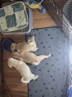 processed/da43ab20-15af-4d6f-a50a-23f84bd4d0c7/facility/47cae52b-1ebd-43a2-8a6f-6dc26a0279b3