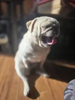 processed/da43ab20-15af-4d6f-a50a-23f84bd4d0c7/facility/51490469-2b77-47fc-961c-bdb656af4ecd