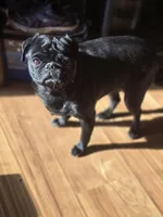 processed/da43ab20-15af-4d6f-a50a-23f84bd4d0c7/facility/93634450-b1bb-4ef1-91ab-70cb8af1ddcf