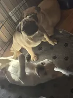 processed/da43ab20-15af-4d6f-a50a-23f84bd4d0c7/facility/c3bca023-f7c1-415c-8f11-5b3dbfb85001