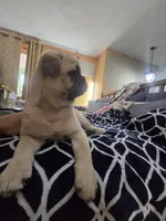 processed/da43ab20-15af-4d6f-a50a-23f84bd4d0c7/listing/ced47225-d4e5-4045-8b45-67bef71eaa12/06758770-c0ca-46a5-b078-6d8313be9a7b