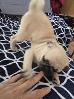 processed/da43ab20-15af-4d6f-a50a-23f84bd4d0c7/listing/ced47225-d4e5-4045-8b45-67bef71eaa12/1408b603-6083-4ffc-8242-f7542c09230f