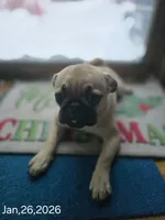 processed/da43ab20-15af-4d6f-a50a-23f84bd4d0c7/listing/ced47225-d4e5-4045-8b45-67bef71eaa12/18a677e3-5e57-4d8b-9ae3-c5f53c8b1af1