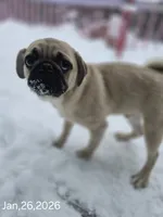 processed/da43ab20-15af-4d6f-a50a-23f84bd4d0c7/listing/ced47225-d4e5-4045-8b45-67bef71eaa12/1edf48ed-cfa8-4045-a3c1-aa38e1d5af77